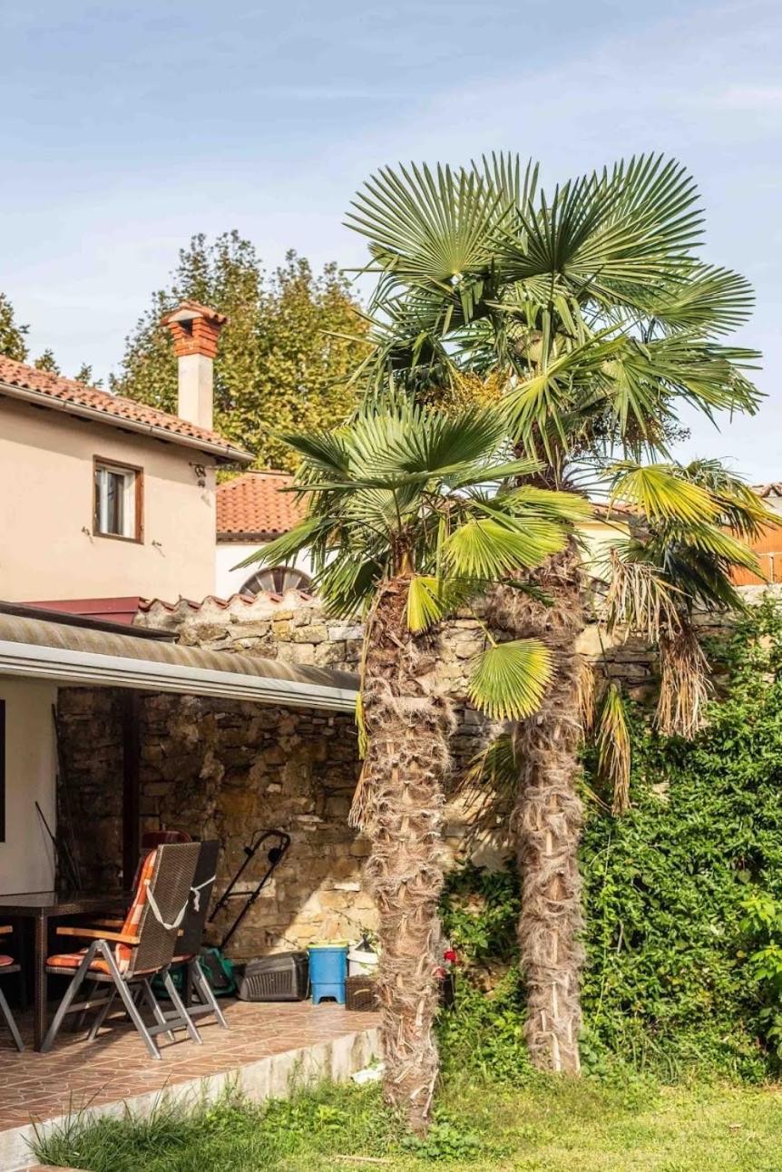 Apartmán Cozy Corner Koper Exteriér fotografie
